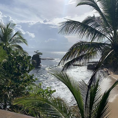 Pangea Lodge Tropical Vibe Home With Shared Pool Manzanillo  Extérieur photo