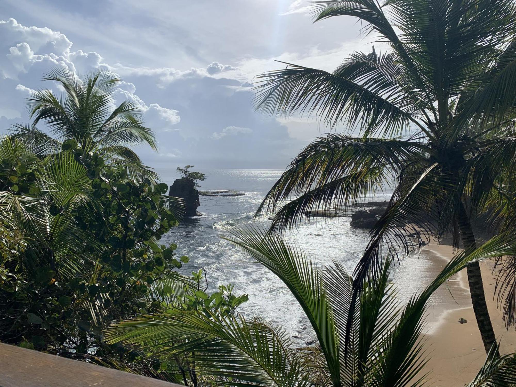 Pangea Lodge Tropical Vibe Home With Shared Pool Manzanillo  Extérieur photo